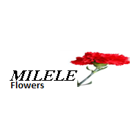 Milele Flowers logo